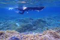 イリオモテ島ポイント写真02