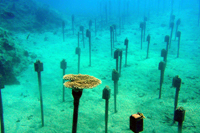 オンナ海浜公園ポイント写真03