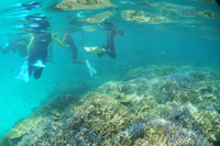 ヤエヤマ諸島ポイント写真01