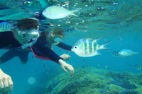 ヤエヤマ諸島ポイント写真03